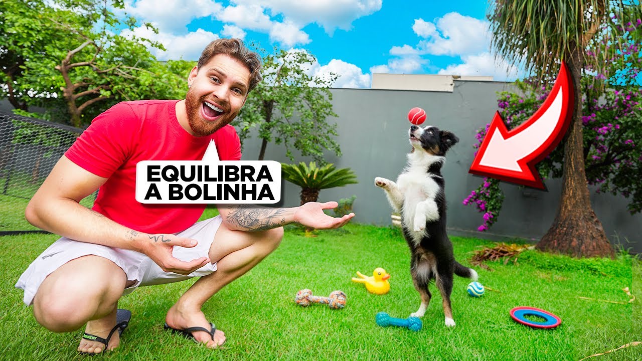 Adestrei Minha Cachorrinha Zara Usando Comandos Do Chat GPT 😍🐶 ELA APRENDEU TUDO !!