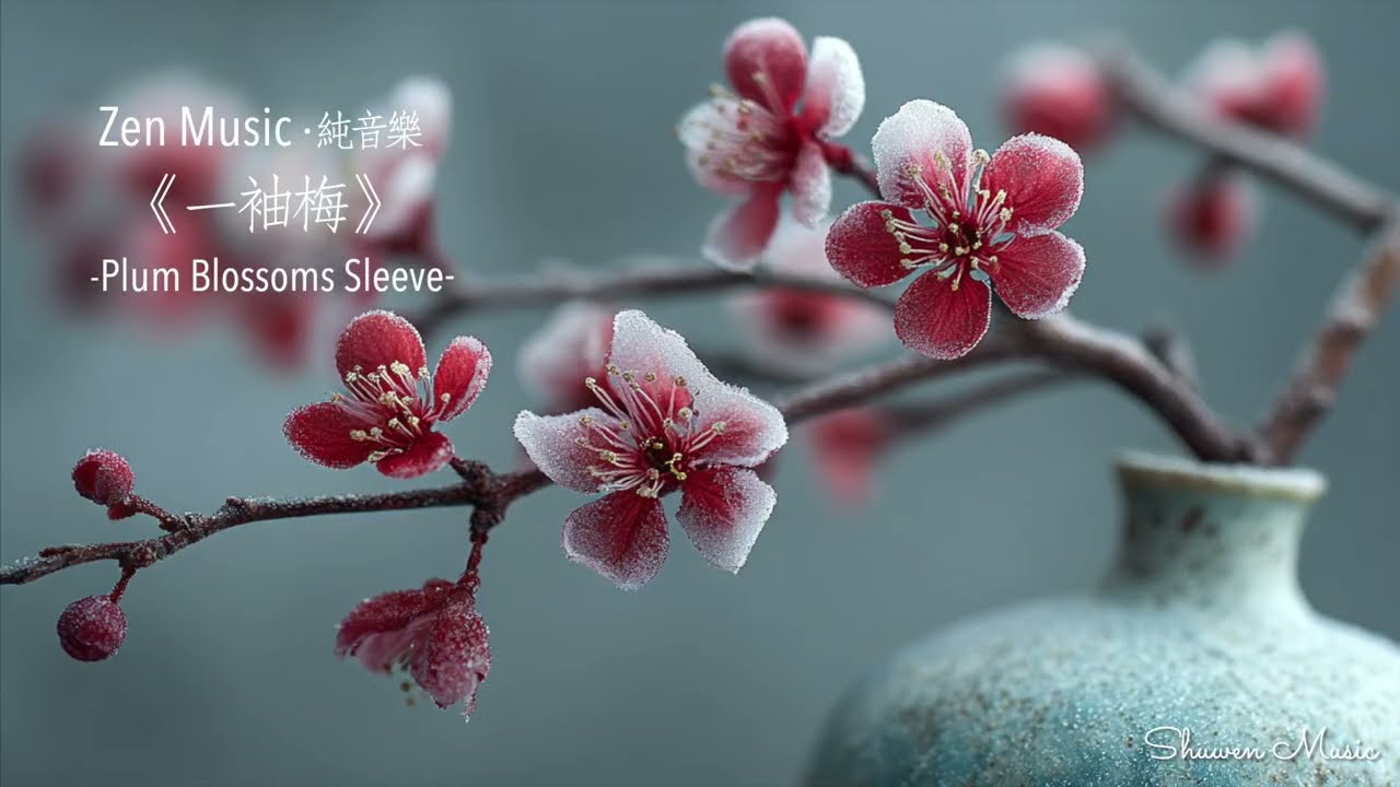 純音樂｜一袖梅·Plum Blossoms Sleeve｜🎹禪意新民樂，聆聽冬日梅香，古箏低吟｜放鬆·冥想·唯美靜心旋律 | Shuwen Music原創