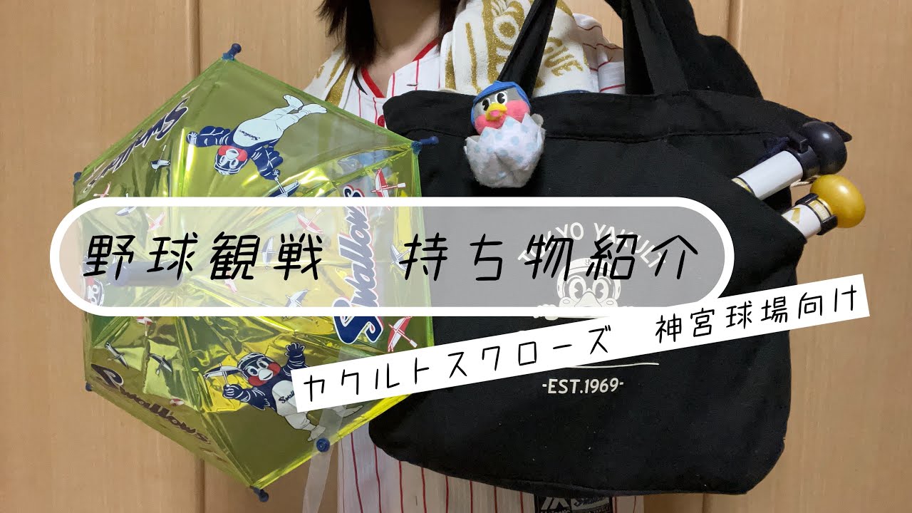 【オフシーズンVlog🐧】スワローズファンによる野球観戦の持ち物の紹介in神宮球場