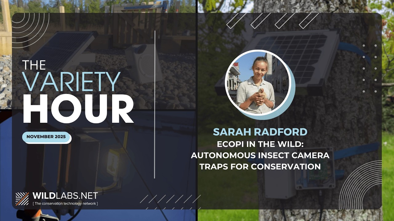 Sarah Radford: ecoPi in the Wild: Autonomous Insect Camera Traps for Conservation