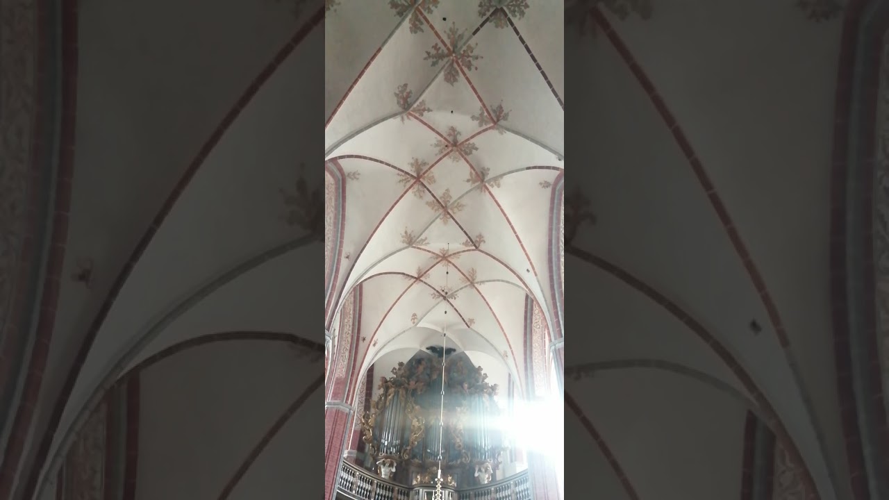 Andreas Patzwald - Mikrogravitation (2025) in St. Katharinen zu Brandenburg