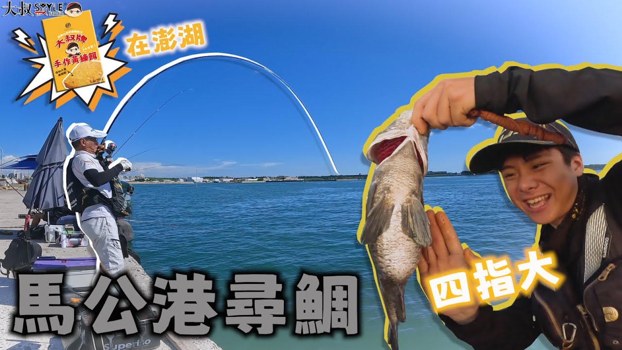 【第一次特地來馬公港釣查黑牛~想不到牛牛還真給力】鉤著大叔練餌下第一竿就中!是人品好還是練餌香?#熱血大叔#大叔牌手作黃練餌#馬公港