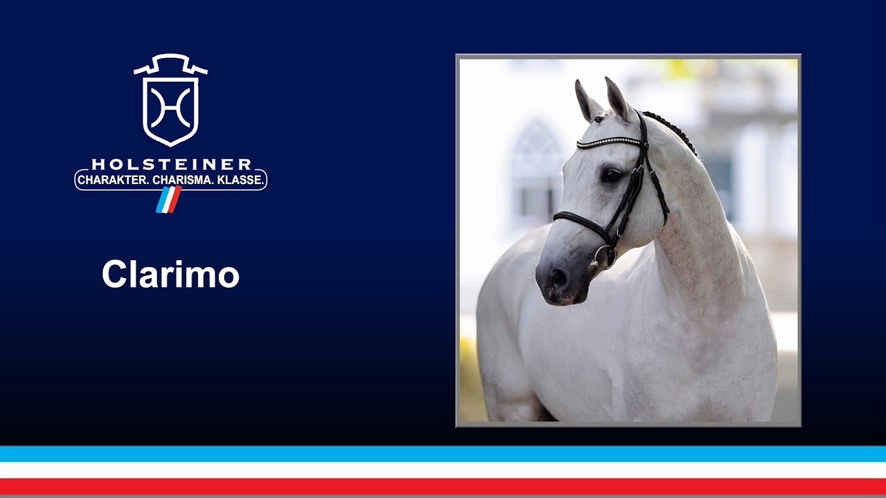 Clarimo v. Clearway - Caletto II | 2018