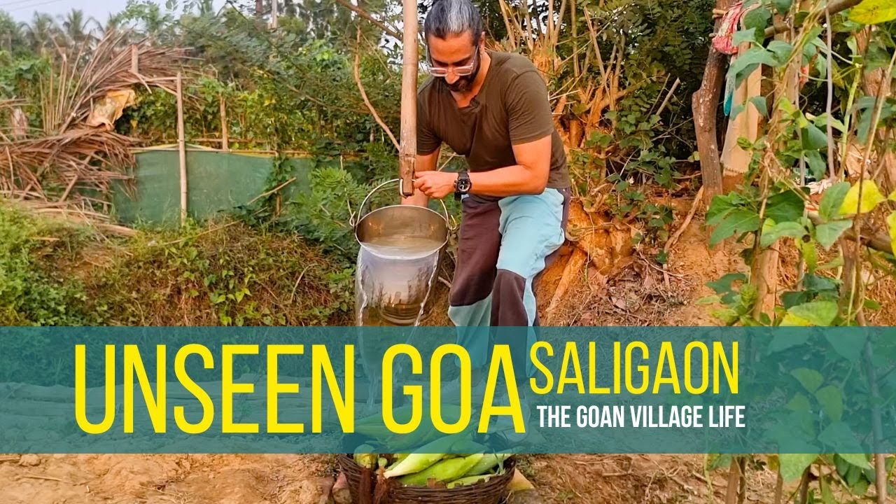 Unseen GOA | The Village life of SALIGAON