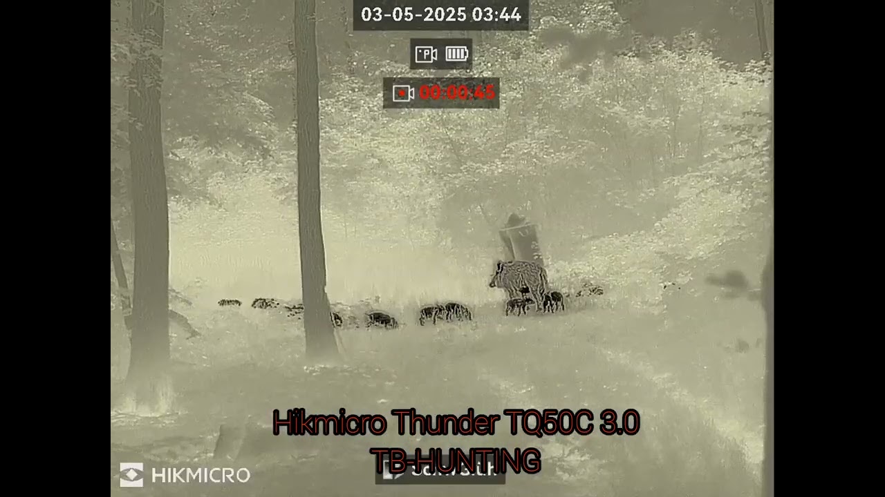 Hikmicro Thunder TQ50C 3.0