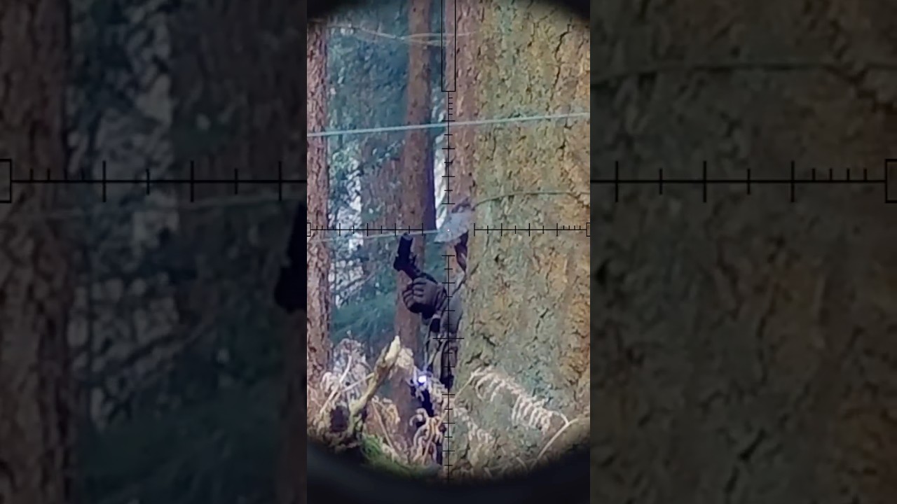 Sniper Takedowns (Airsoft Stealth Highlights) 