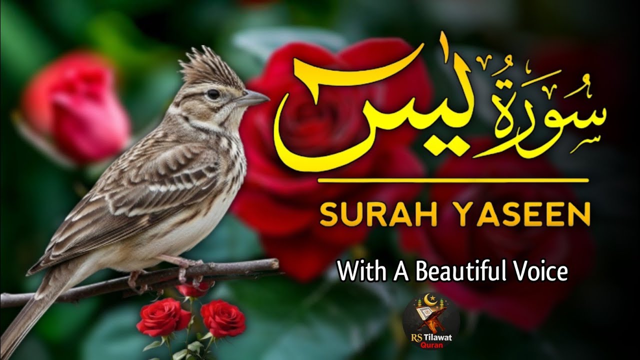 Surah Yasin (Yaseen)سورة يس | Full With Arabic Text | Sheikh Alaa Aqel | Episode_0001