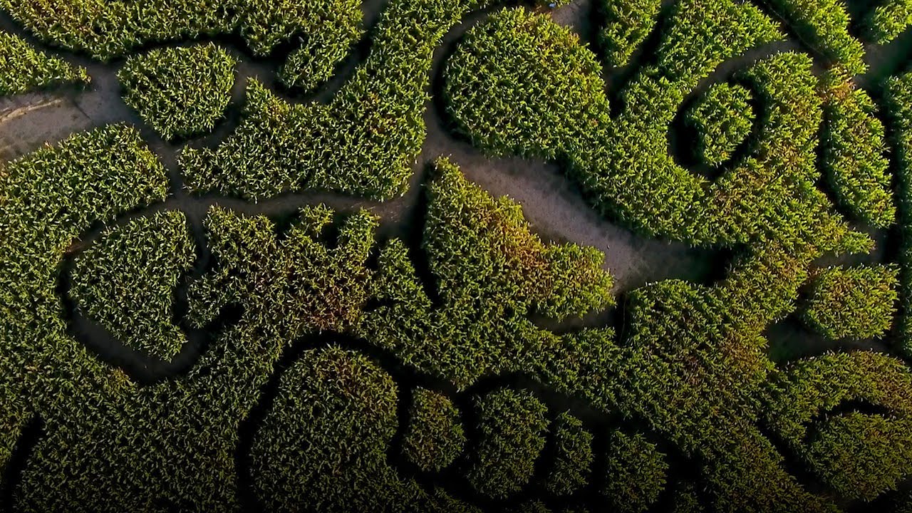 Super Mario Brothers featured in 10-acre N.J. corn maze
