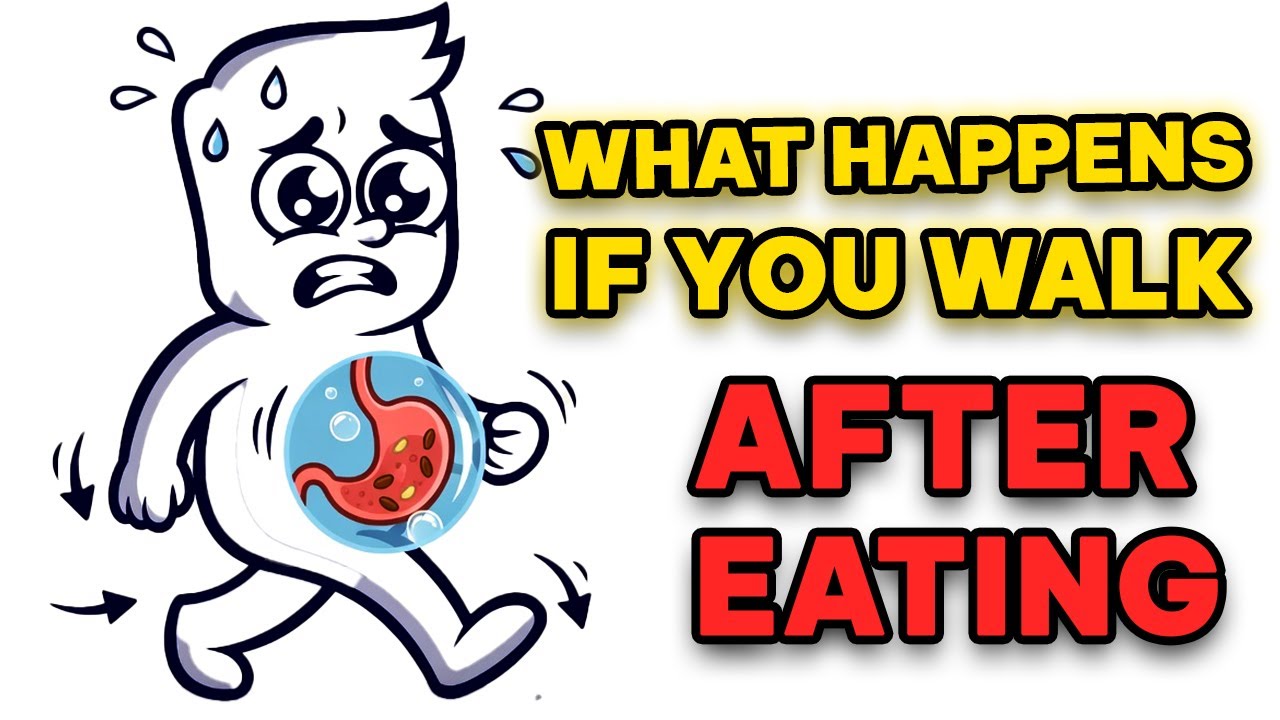 Before or After Eating? Why Timing Your Walk Changes Your Metabolism
