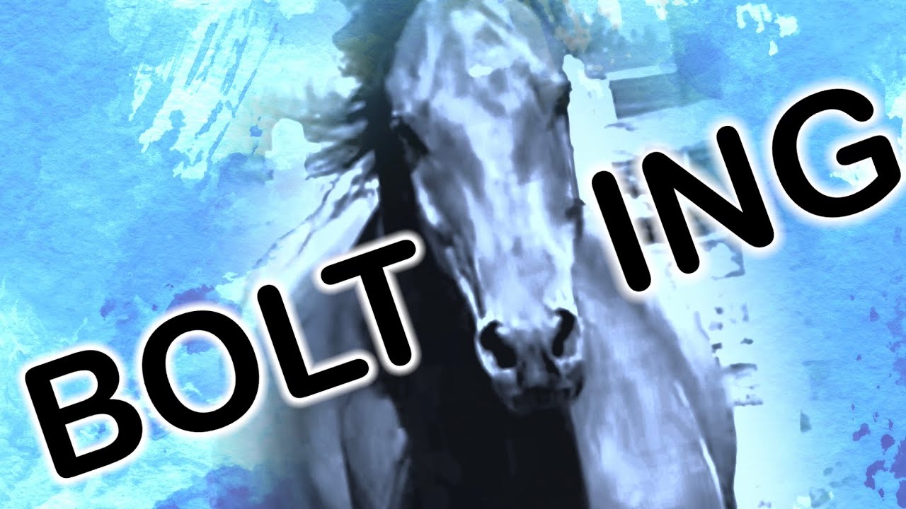 How to Control a Bolting Horse