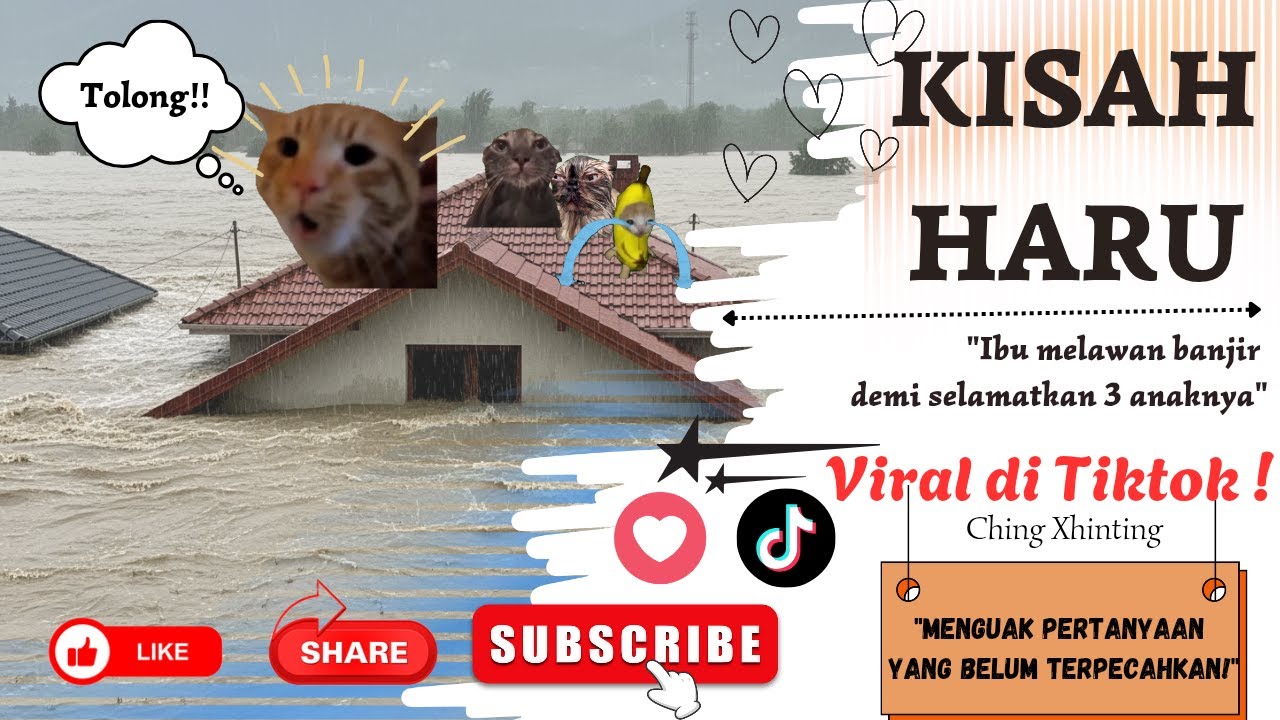 VIRAL‼️Kisah Ibu Kucing Menerjang Banjir Demi Selamatkan Anaknya‼️| Meme Kucing | Ching Xhinting