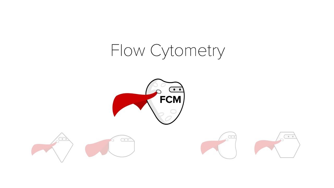 Flow Cytometry