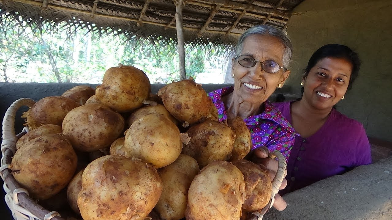 Chilli Potato Recipe by Grandma and Daughter ❤ Village Life