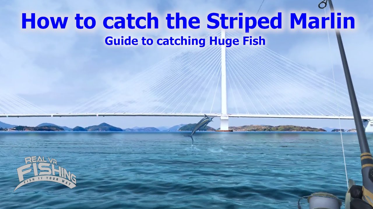 How to find and catch the Striped Marlin, a huge fish guide.