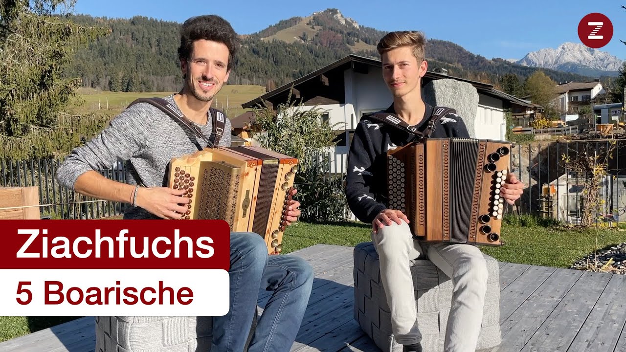 Ziachfuchs - 5 Boarische