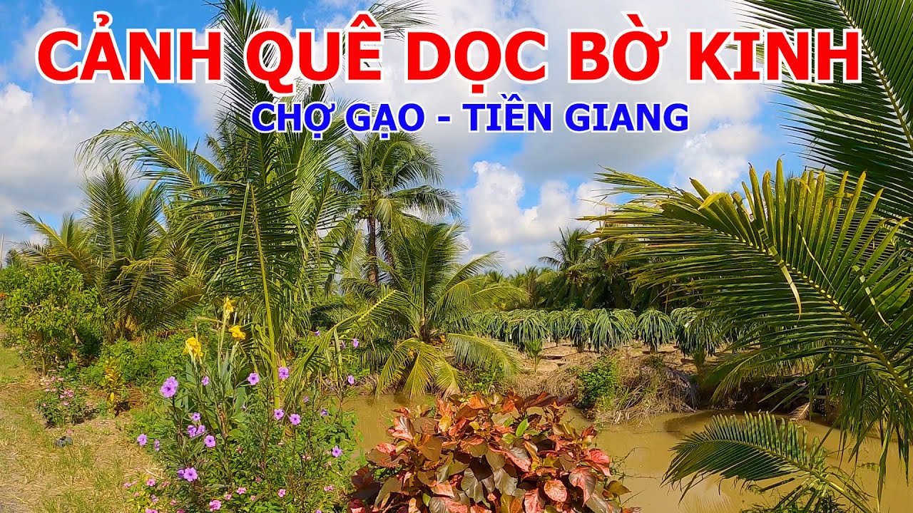 CHỢ ÔNG VĂN - LỘ LÀNG BÌNH NINH - KÊNH NĂM ĐỒNG - CẦU CẢ QUỚI | CHỢ GẠO - TIỀN GIANG 01-10-2024