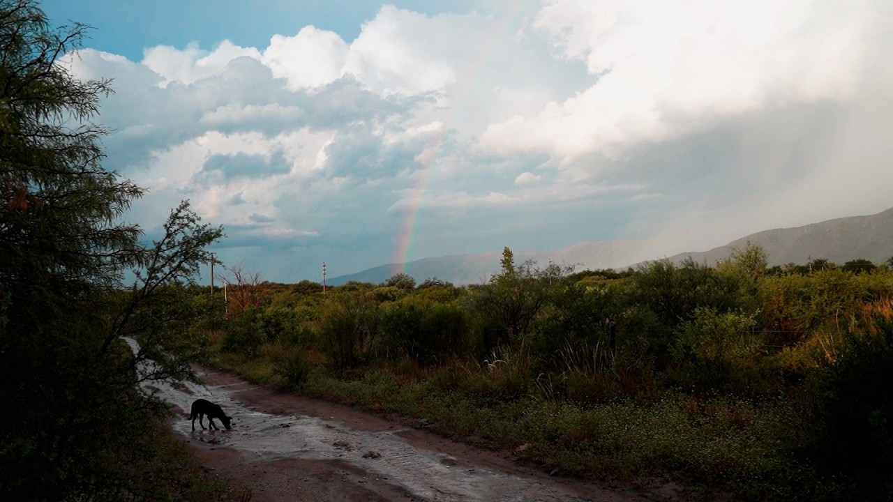 VIVIMOS en el medio del MONTE | Llega la LLUVIA y nos sorprende la NATURALEZA con toda su MAGIA 🦋