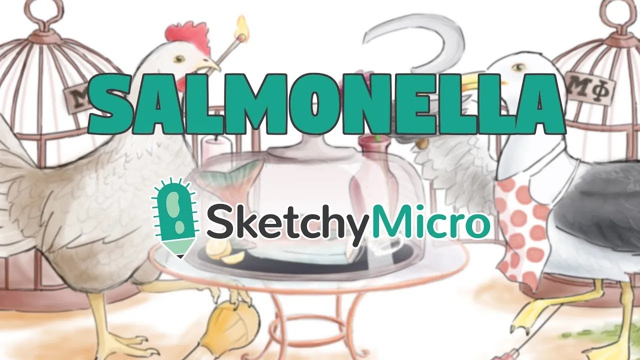 La Cena de Salm&oacute;n de Salmonella - SketchyMicro / Sketchy Medical