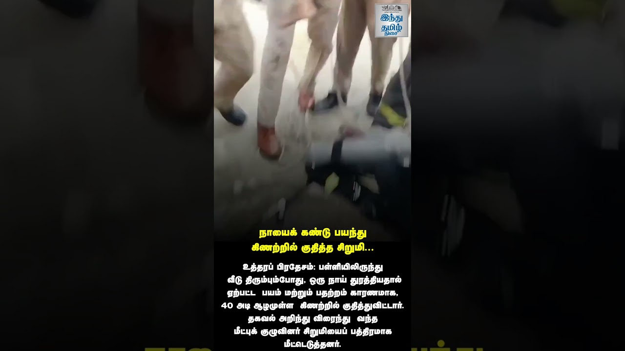 நாயைக் கண்டு பயந்து கிணற்றில் குதித்த சிறுமி...