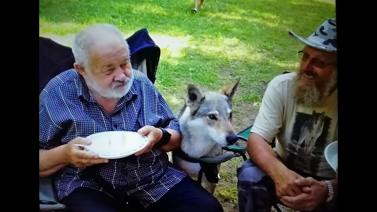 Ján Polony ako súčasť histórie československého vlčiaka a skúšky SVP na Slovensku