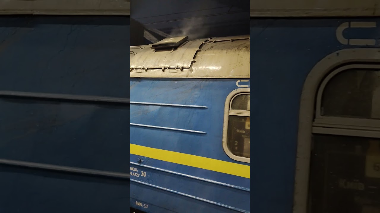 Ekologiczny Ukraiński Kopciuch na Centralnym