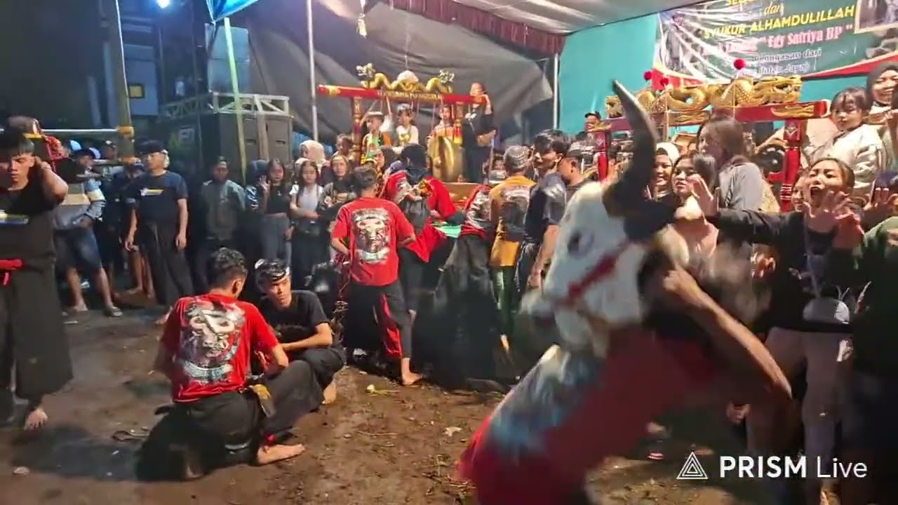 🔴LIVEJARANAN PUTRA MANDALA  LOKASI SUKOANYAR WAJAK