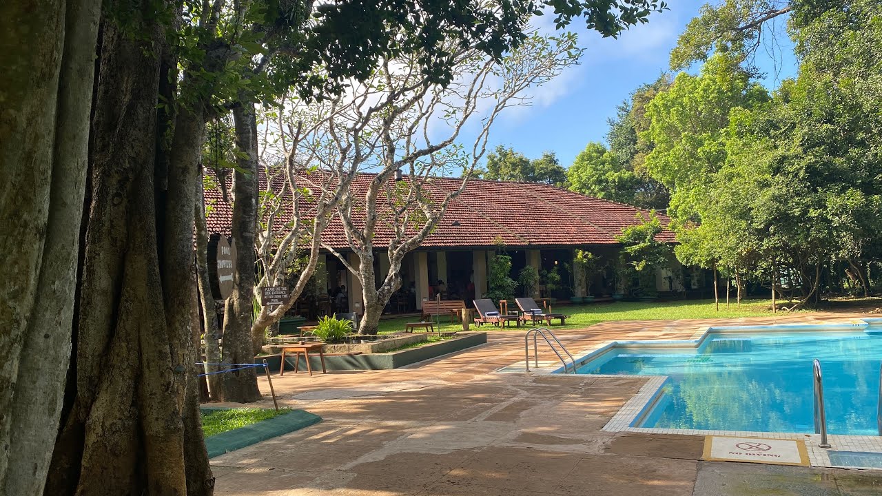 Sigiriya  village  Hotel  tour  #sigiriyavillagehotel  #srilanka #travel #sigiriya
