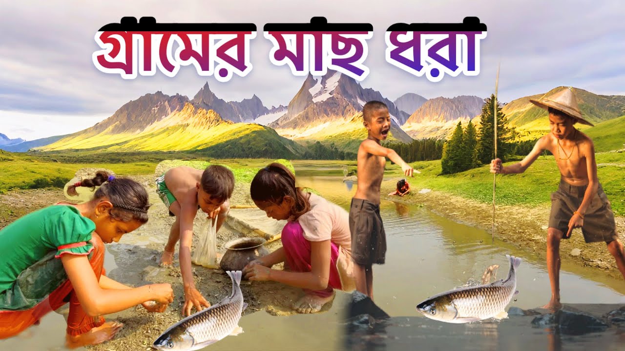 গ্রামের মাছ ধরা জীবন দেখুন ঠেলা জাল দিয়ে মাছ ধরা হয়েছে #fishing #video 