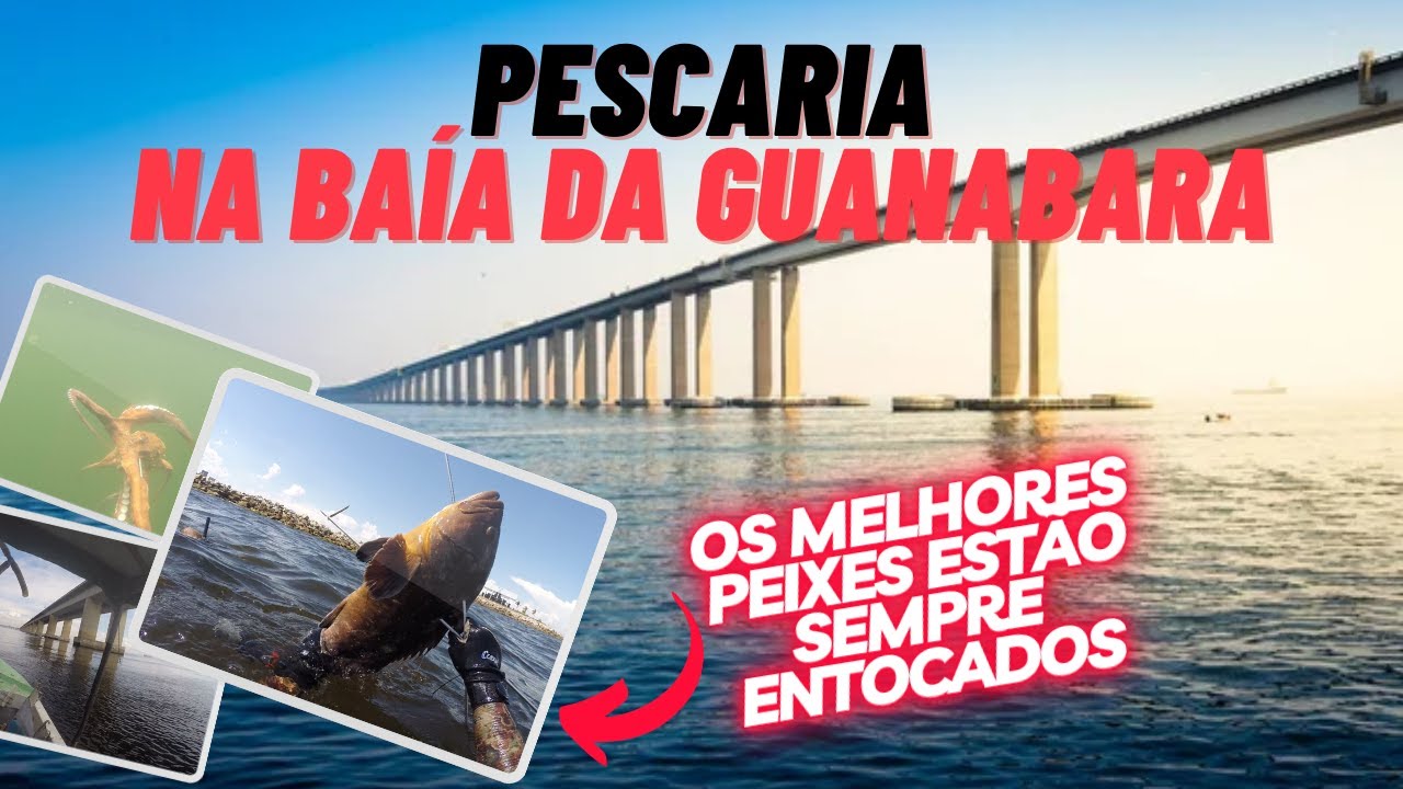 Подводная охота в заливе Гуанабара