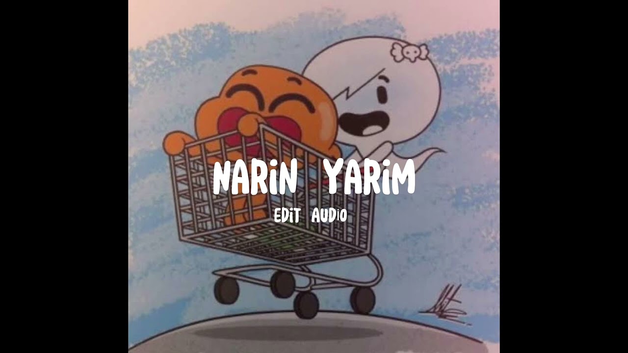 Narin yarim edit audio