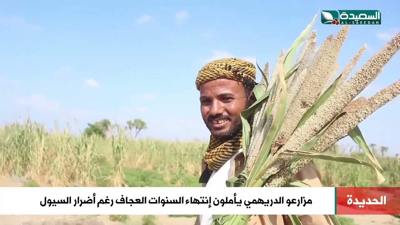 بعد سنوات من الجفاف مزارعو الدريهمي يأملون إنتهاء الشدة رغم أضرار السيول