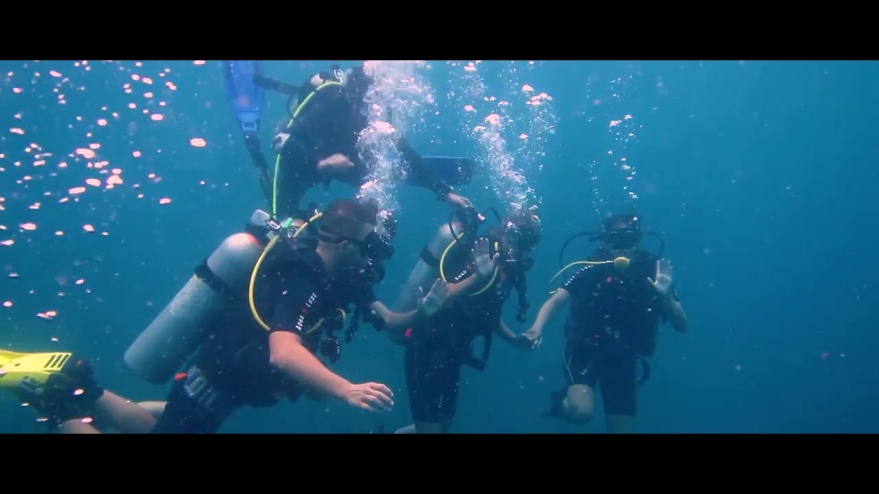 StudyInBali I Winter Class 2017 I Scuba Diving