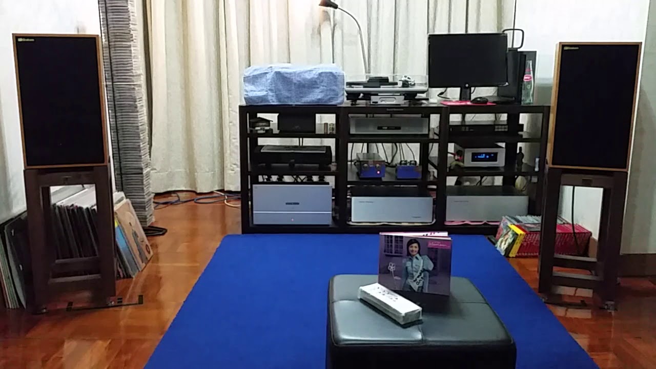YS Audio YSA150S power amp