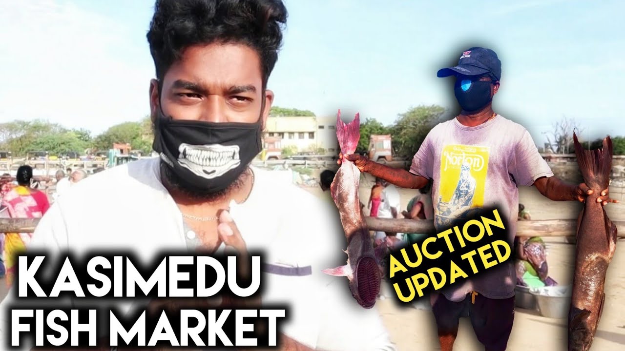 KASIMEDU FISH AUCTION||WHOLESALE DEALERS||Kasimedu Fisherman | Tamil