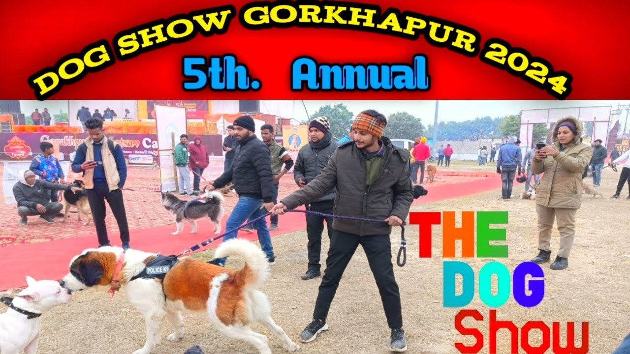 गोरखपुर महोत्सव में डॉग लवर्स का जलवा|Gorkhapur Dog Show 2024|