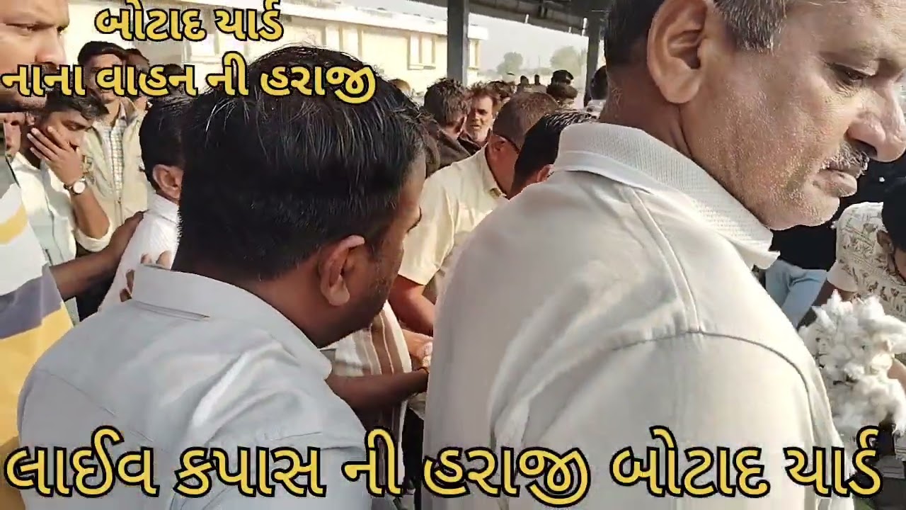  Botad Kapas na bhav|20-02-2026|બોટાદ કપાસના ભાવ2025| Information about cotton crop pric 