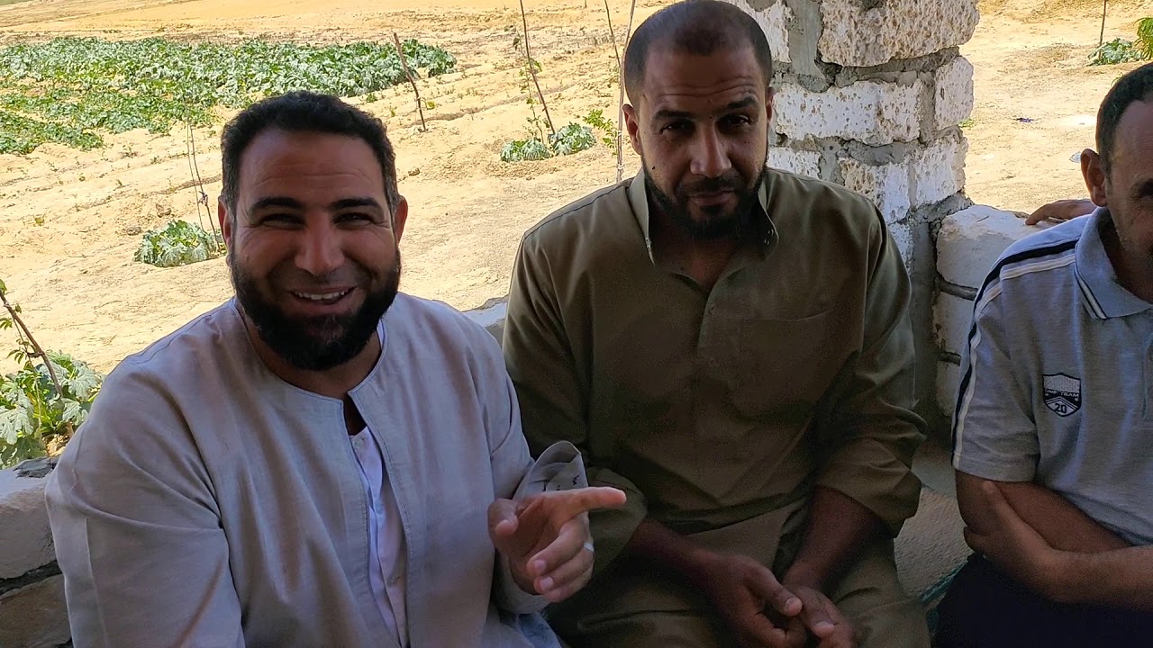 زراعات جديده بالشركه تعطيك دخل أسبوعي بصدد أنشأها حلت مشكله المسافرين بشركه الفلاح ٠١٢٠٥٠٥٣٥٠٧