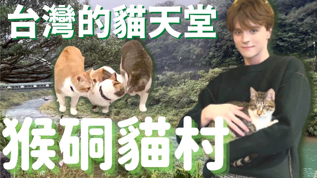 全台灣我最愛的地方！毛天堂猴硐貓村，烘爐地南山福德宮新年拜拜 Taiwan's Cat Paradise Houtong Cat Village