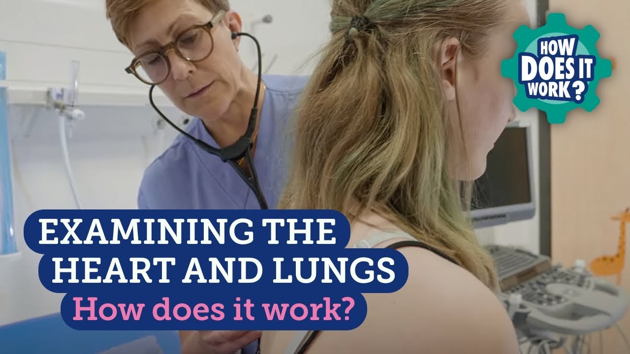 Examining the Heart and Lungs (Teenagers)