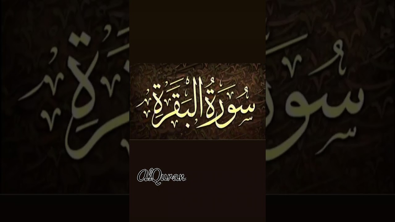 سوره البقره من الايه 37 الى الايه 50 AlQuran❤