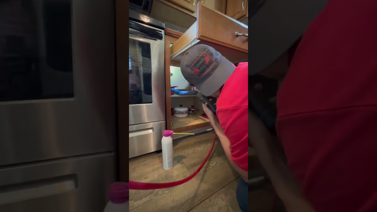 DIY Pest Control