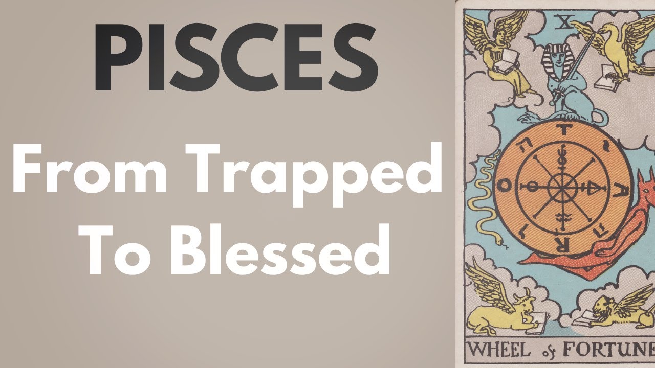 Pisces If This Found You Now You’re Not Meant To Miss This Shift