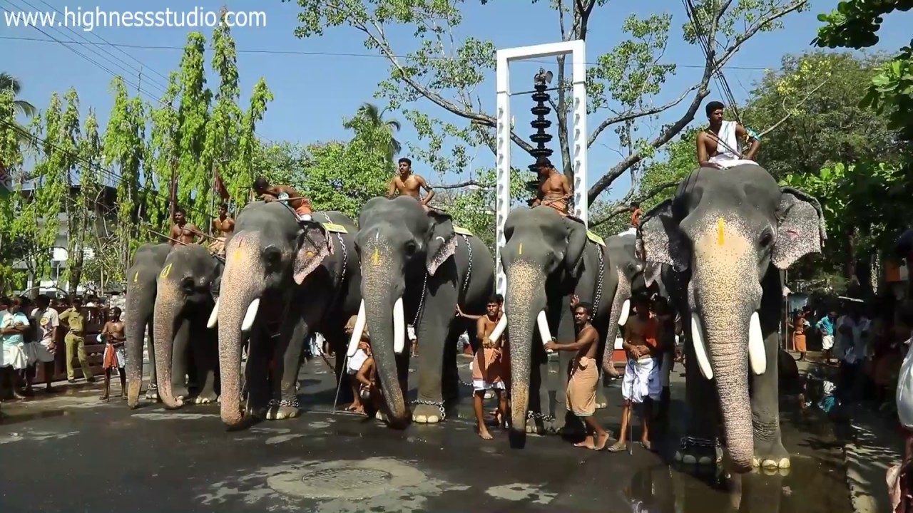 Guruvayoor Anayottam 2018