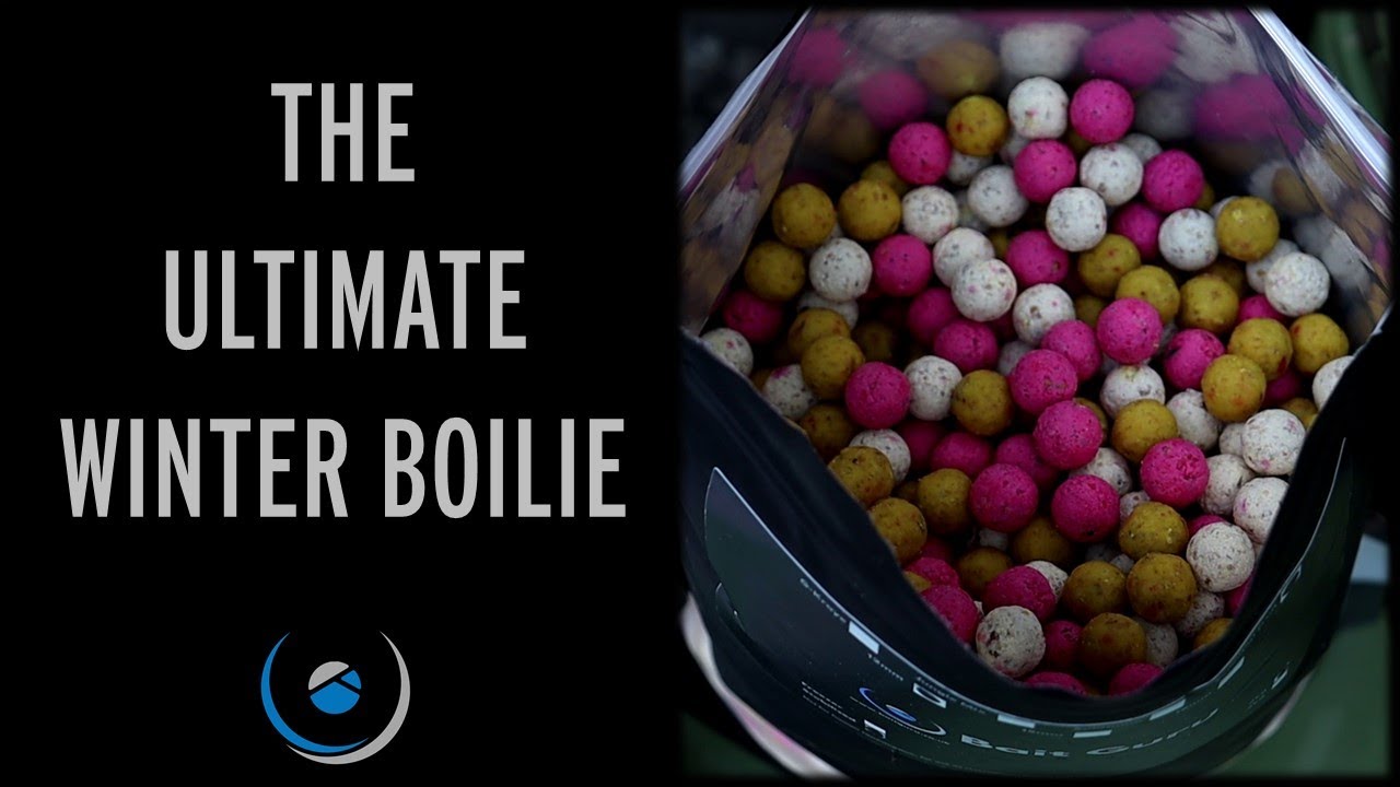 The Perfect Winter Carp Bait | The Essential Fruit Boilie | Product Focus
