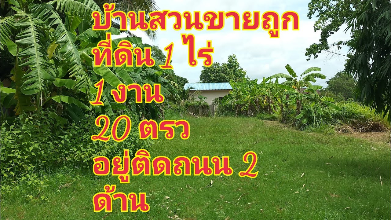 125)ขายบ้านสวนพร้อมที่ดิน 1 ไร่ 1 งาน 20 ตรวอยู่ใกล้ตลาดโยพานิช ราคา 1.5 ล้านบาท