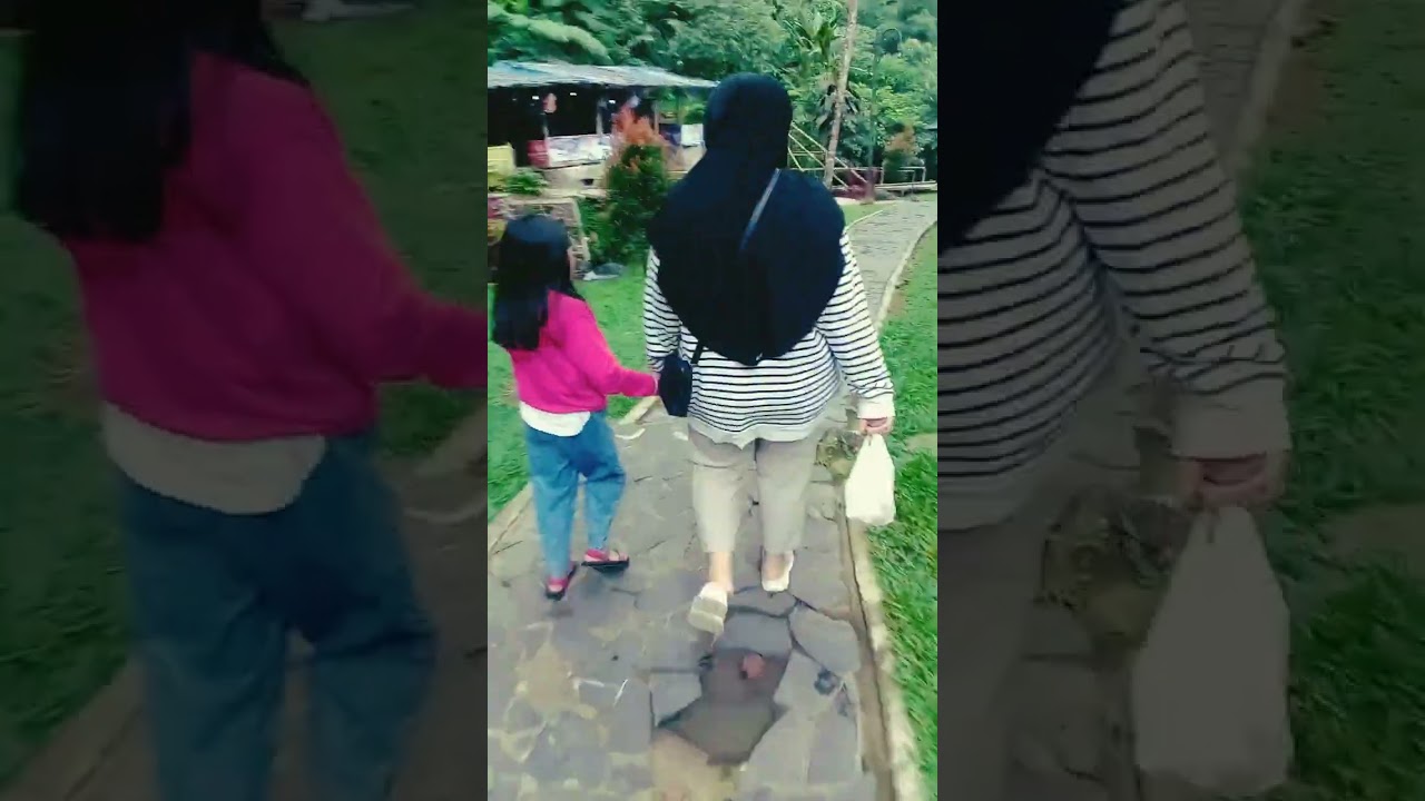 wisata pondok halimun salabintana sukabumi