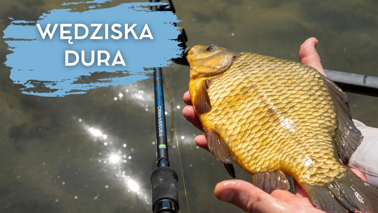 Wędziska z SERII DURA | Adam Niemiec