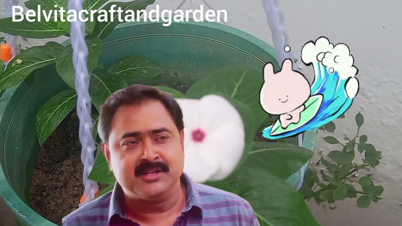 അലീനയെ നീലഗിരിക് കൊണ്ട് പോകാൻ ഞാൻ തീരുമാനിച്ചു എന്താണ് മനുവിന്റെ അഭിപ്രായം Mazha Thorum Munpe 