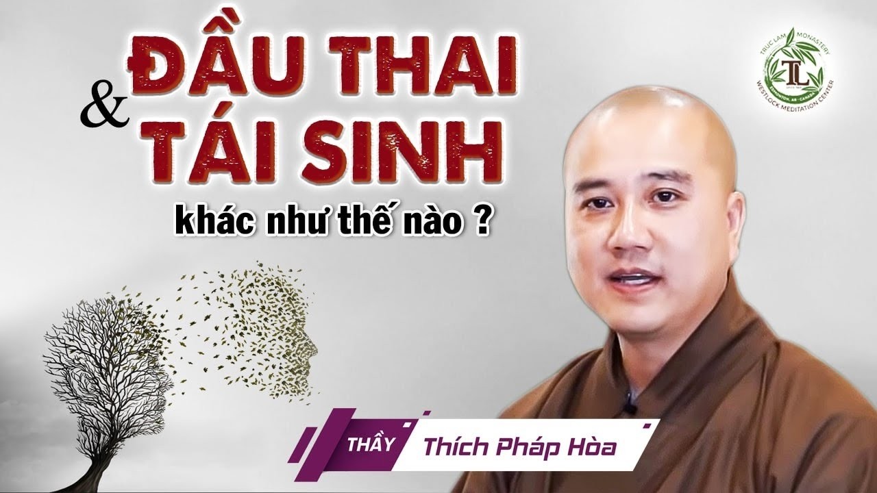 Sự khác nhau giữa ĐẦU THAI và TÁI SINH (giải đáp rất hay) - Vấn Đáp Thầy Thích Pháp Hòa