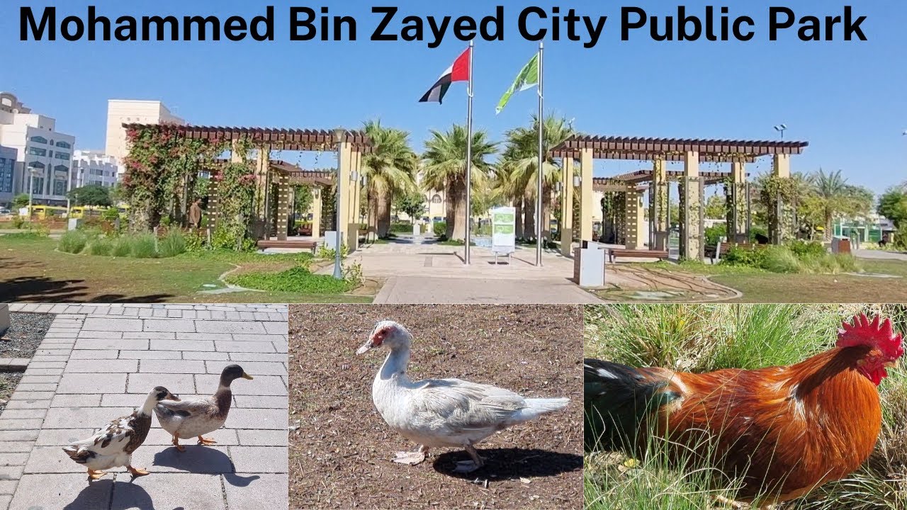 Public Park Abu Dhabi | Mohammed bin Zayed City Park | Barbeque